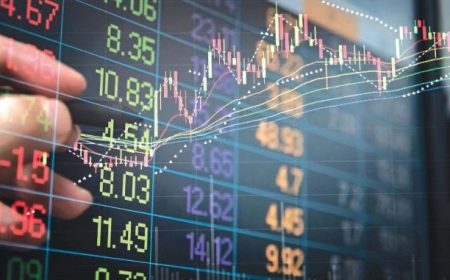 El Economista - Por El Desarrollo Regional